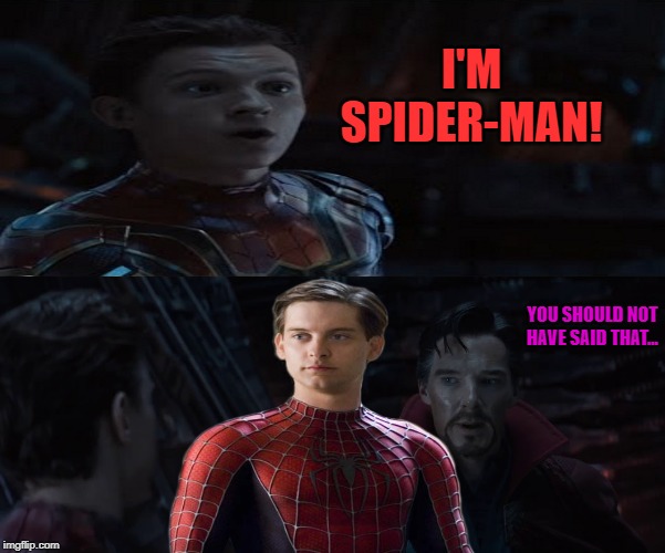 Seeing Toby Going Around in the MCU, I Tried to Edit my Own with Him... XD | I'M SPIDER-MAN! YOU SHOULD NOT HAVE SAID THAT... | image tagged in memes,avengers infinity war,spider-man,toby maguire,mcu | made w/ Imgflip meme maker