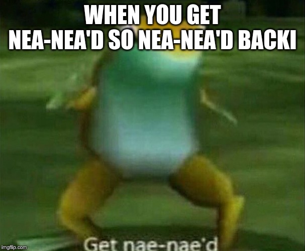 Get nae-nae'd | WHEN YOU GET NEA-NEA'D SO NEA-NEA'D BACKI | image tagged in get nae-nae'd | made w/ Imgflip meme maker