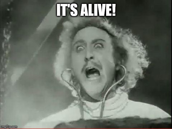 Young Frankenstein | IT'S ALIVE! | image tagged in young frankenstein | made w/ Imgflip meme maker