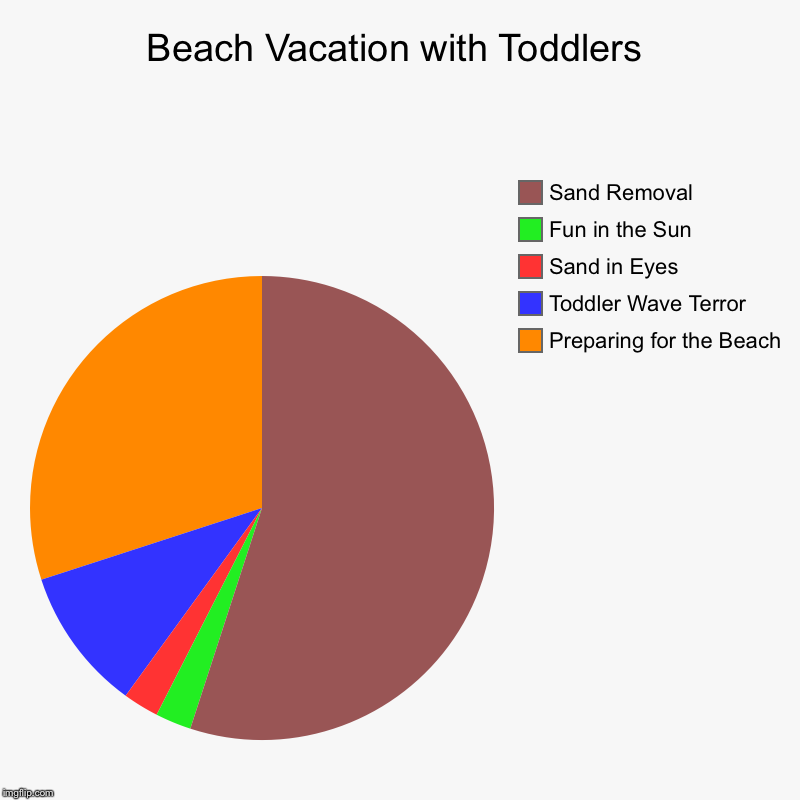 Beach Vacation with Toddlers | Preparing for the Beach, Toddler Wave Terror, Sand in Eyes, Fun in the Sun, Sand Removal | image tagged in charts,pie charts | made w/ Imgflip chart maker