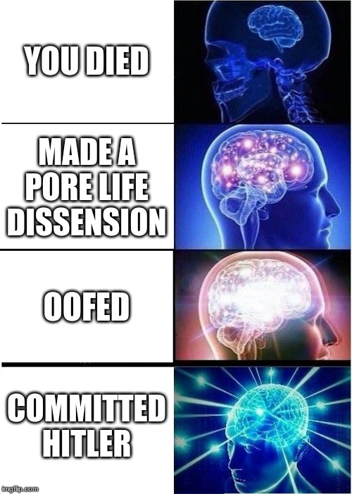 Expanding Brain Meme | YOU DIED; MADE A PORE LIFE DISSENSION; OOFED; COMMITTED HITLER | image tagged in memes,expanding brain | made w/ Imgflip meme maker