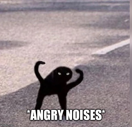 Cursed Cat | *ANGRY NOISES* | image tagged in cursed cat | made w/ Imgflip meme maker