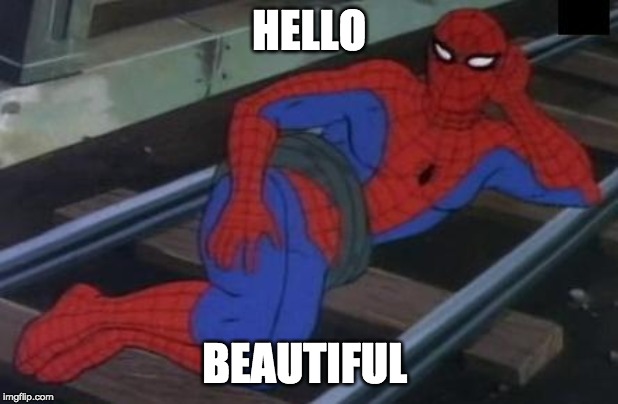 Sexy Railroad Spiderman Meme | HELLO; BEAUTIFUL | image tagged in memes,sexy railroad spiderman,spiderman | made w/ Imgflip meme maker