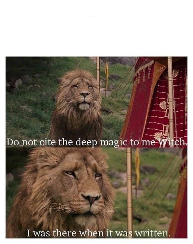 High Quality Dizeez Aslan Blank Meme Template