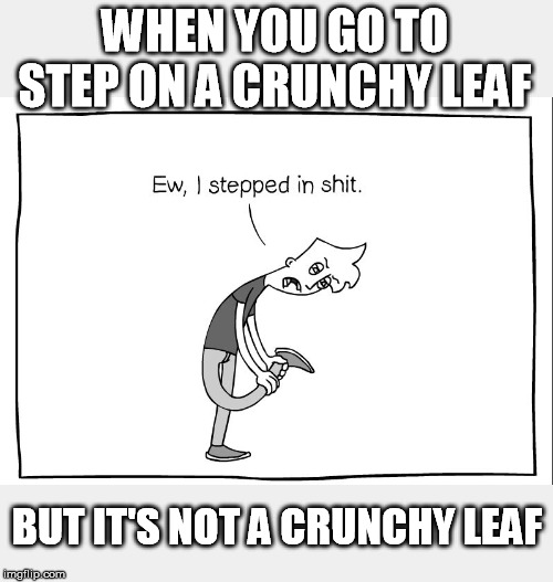 WHEN YOU GO TO STEP ON A CRUNCHY LEAF BUT IT'S NOT A CRUNCHY LEAF | made w/ Imgflip meme maker