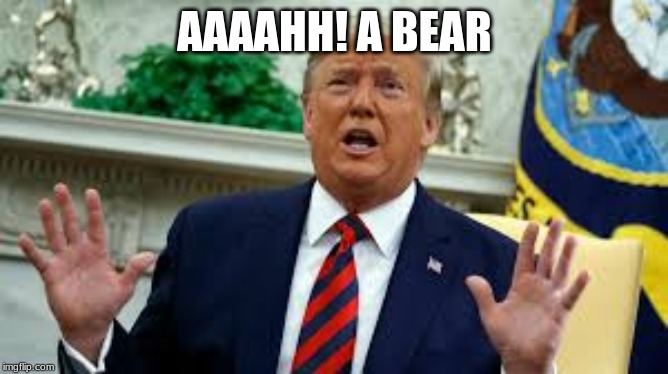 AAAAHH! A BEAR | image tagged in politics | made w/ Imgflip meme maker