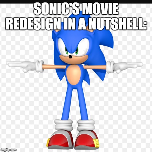 Sure Hope This Is How He'll Look In The Movie | SONIC'S MOVIE REDESIGN IN A NUTSHELL: | image tagged in t pose sonic,sonic movie,redesign | made w/ Imgflip meme maker