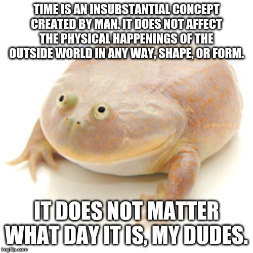 It is wednesday my dudes | TIME IS AN INSUBSTANTIAL CONCEPT CREATED BY MAN. IT DOES NOT AFFECT THE PHYSICAL HAPPENINGS OF THE OUTSIDE WORLD IN ANY WAY, SHAPE, OR FORM. IT DOES NOT MATTER WHAT DAY IT IS, MY DUDES. | image tagged in it is wednesday my dudes | made w/ Imgflip meme maker