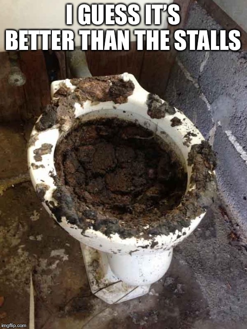 toilet | I GUESS IT’S BETTER THAN THE STALLS | image tagged in toilet | made w/ Imgflip meme maker