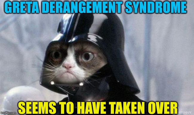 They have nothing better to do. | GRETA DERANGEMENT SYNDROME; SEEMS TO HAVE TAKEN OVER | image tagged in memes,grumpy cat star wars,grumpy cat | made w/ Imgflip meme maker