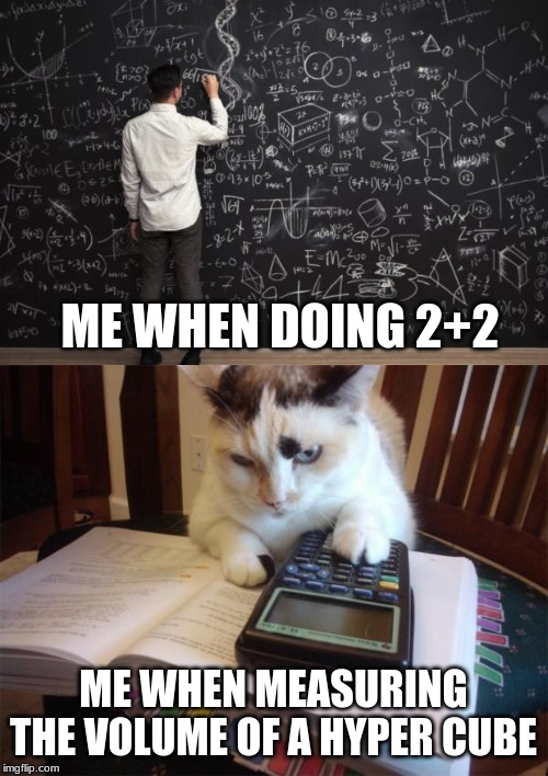 ME WHEN DOING 2+2; ME WHEN MEASURING THE VOLUME OF A HYPER CUBE | image tagged in math cat,math | made w/ Imgflip meme maker