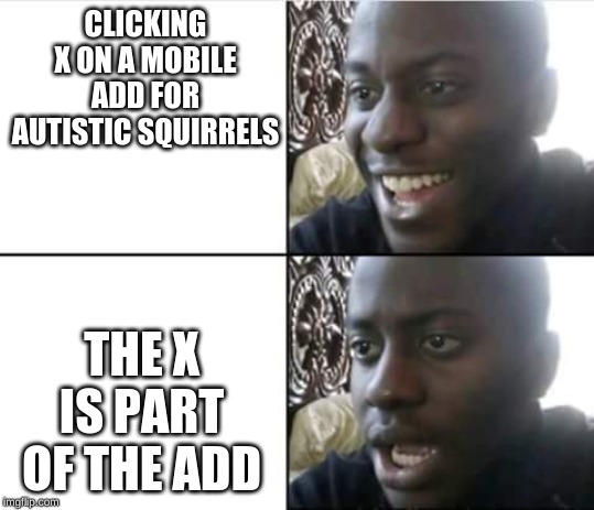 happy then sad nigga | CLICKING X ON A MOBILE ADD FOR AUTISTIC SQUIRRELS; THE X IS PART OF THE ADD | image tagged in happy then sad nigga | made w/ Imgflip meme maker
