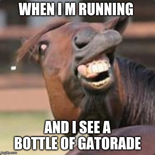 HOERS | WHEN I M RUNNING; AND I SEE A BOTTLE OF GATORADE | image tagged in hoers | made w/ Imgflip meme maker