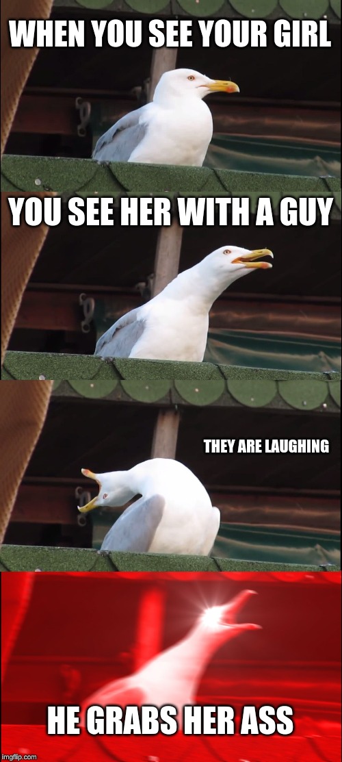 Inhaling Seagull | WHEN YOU SEE YOUR GIRL; YOU SEE HER WITH A GUY; THEY ARE LAUGHING; HE GRABS HER ASS | image tagged in memes,inhaling seagull | made w/ Imgflip meme maker