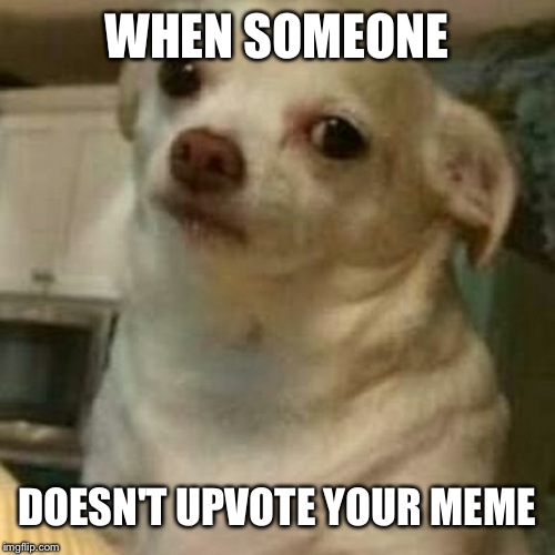 Disappointed Doggo | WHEN SOMEONE; DOESN'T UPVOTE YOUR MEME | image tagged in disappointed doggo | made w/ Imgflip meme maker