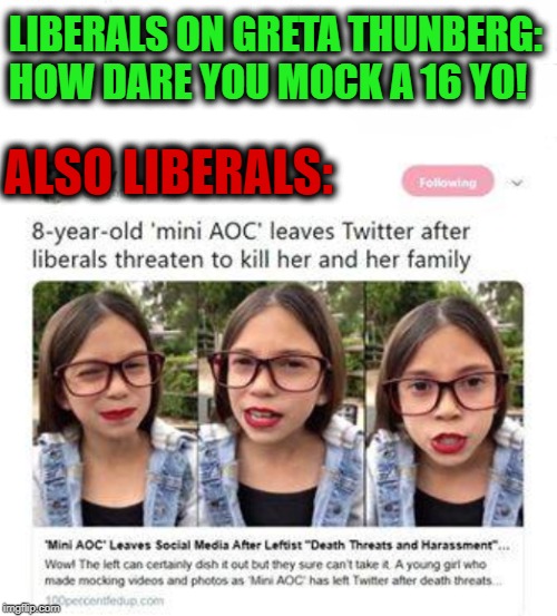 liberal hypocrisy |  LIBERALS ON GRETA THUNBERG: HOW DARE YOU MOCK A 16 YO! ALSO LIBERALS: | image tagged in liberals,hypocrite,aoc,greta thunberg | made w/ Imgflip meme maker