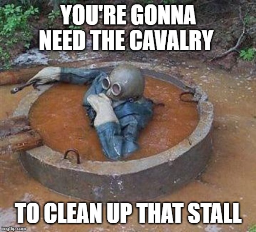 dive into septic | YOU'RE GONNA NEED THE CAVALRY TO CLEAN UP THAT STALL | image tagged in dive into septic | made w/ Imgflip meme maker