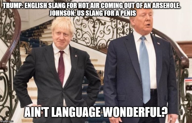 TRUMP: ENGLISH SLANG FOR HOT AIR COMING OUT OF AN ARSEHOLE.  
JOHNSON: US SLANG FOR A PENIS; AIN'T LANGUAGE WONDERFUL? | image tagged in president trump | made w/ Imgflip meme maker
