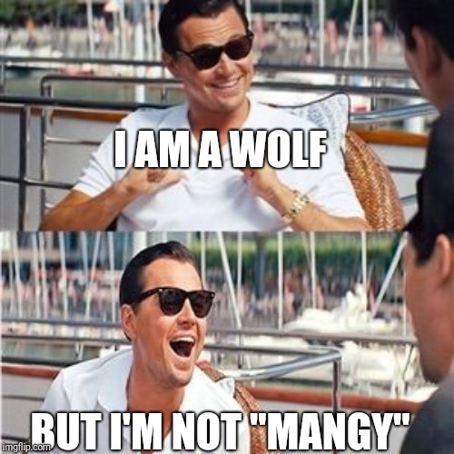 Leo wolf laughing | I AM A WOLF; BUT I'M NOT "MANGY" | image tagged in leo wolf laughing | made w/ Imgflip meme maker