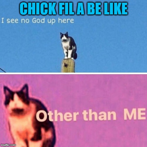 Hail pole cat | CHICK FIL A BE LIKE | image tagged in hail pole cat | made w/ Imgflip meme maker