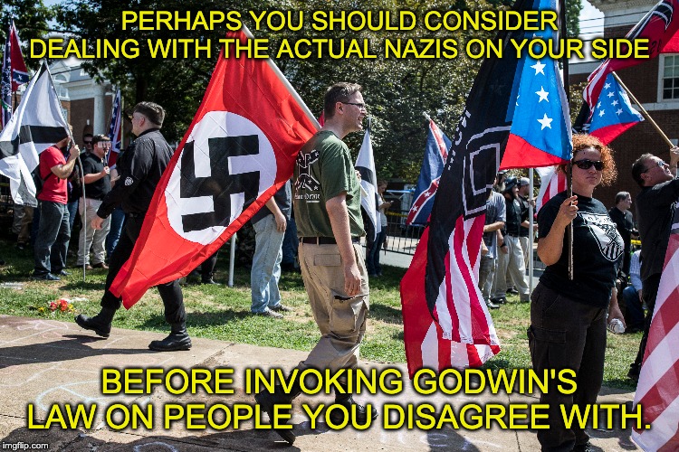 PERHAPS YOU SHOULD CONSIDER DEALING WITH THE ACTUAL NAZIS ON YOUR SIDE BEFORE INVOKING GODWIN'S LAW ON PEOPLE YOU DISAGREE WITH. | made w/ Imgflip meme maker