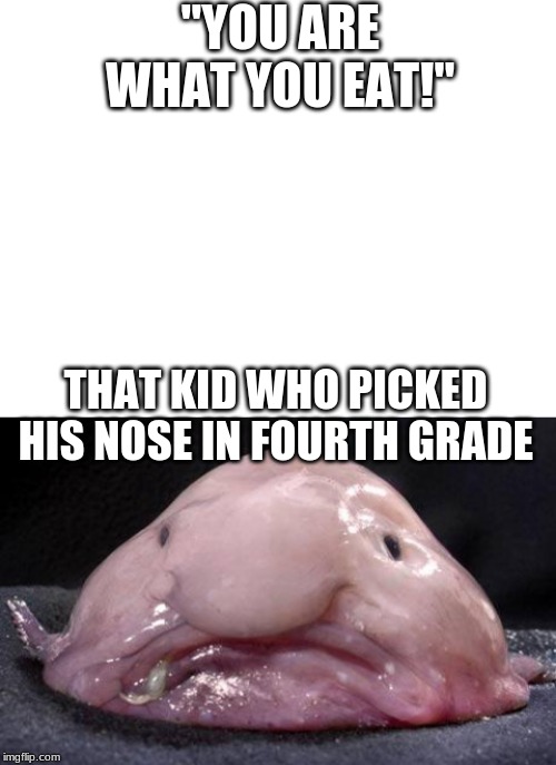 "YOU ARE WHAT YOU EAT!"; THAT KID WHO PICKED HIS NOSE IN FOURTH GRADE | image tagged in blobfish,blank white template | made w/ Imgflip meme maker