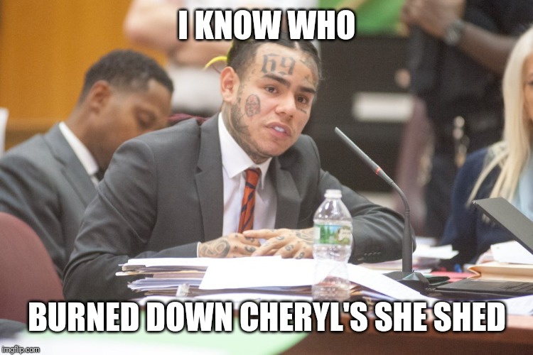 Tekashi 6ix9ine testifies | I KNOW WHO; BURNED DOWN CHERYL'S SHE SHED | image tagged in tekashi 6ix9ine testifies | made w/ Imgflip meme maker