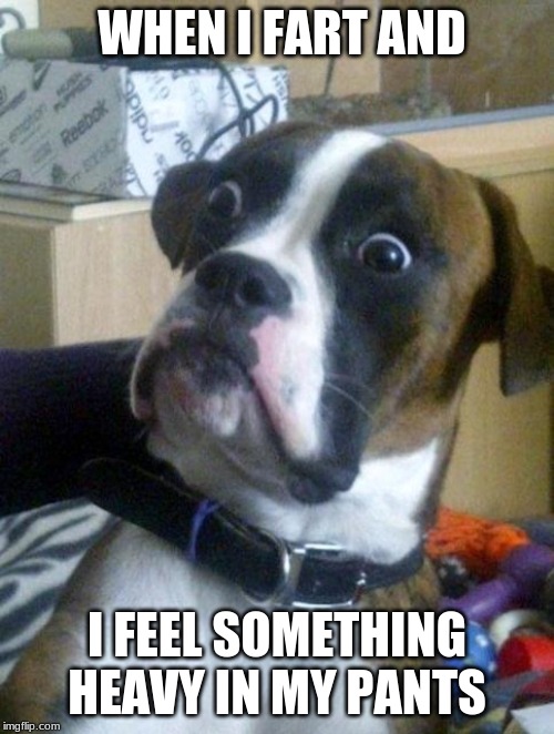 Suprised Boxer | WHEN I FART AND; I FEEL SOMETHING HEAVY IN MY PANTS | image tagged in suprised boxer | made w/ Imgflip meme maker