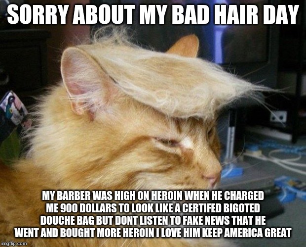 Trump cat meme | SORRY ABOUT MY BAD HAIR DAY; MY BARBER WAS HIGH ON HEROIN WHEN HE CHARGED ME 900 DOLLARS TO LOOK LIKE A CERTIFED BIGOTED DOUCHE BAG BUT DONT LISTEN TO FAKE NEWS THAT HE WENT AND BOUGHT MORE HEROIN I LOVE HIM KEEP AMERICA GREAT | image tagged in trump cat meme | made w/ Imgflip meme maker