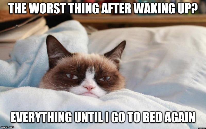 True | THE WORST THING AFTER WAKING UP? EVERYTHING UNTIL I GO TO BED AGAIN | image tagged in memes,grumpy cat,grumpy cat bed | made w/ Imgflip meme maker