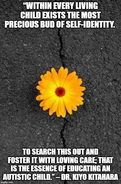 Flower In Concrete | “WITHIN EVERY LIVING CHILD EXISTS THE MOST PRECIOUS BUD OF SELF-IDENTITY. TO SEARCH THIS OUT AND FOSTER IT WITH LOVING CARE; THAT IS THE ESSENCE OF EDUCATING AN AUTISTIC CHILD.” – DR. KIYO KITAHARA | image tagged in flower in concrete | made w/ Imgflip meme maker