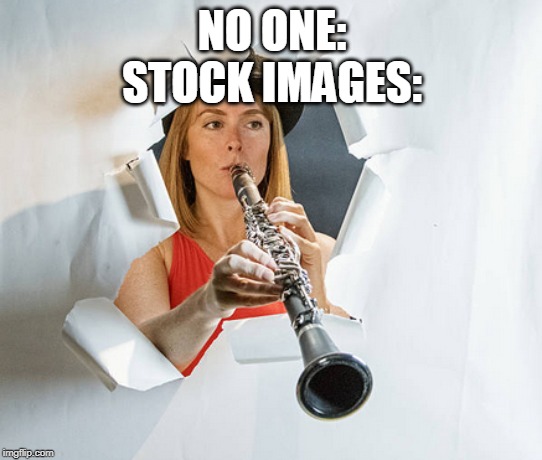 Stock images | NO ONE:
STOCK IMAGES: | image tagged in fun | made w/ Imgflip meme maker