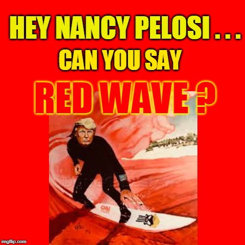 CAN YOU SAY; HEY NANCY PELOSI . . . RED WAVE ? | made w/ Imgflip meme maker
