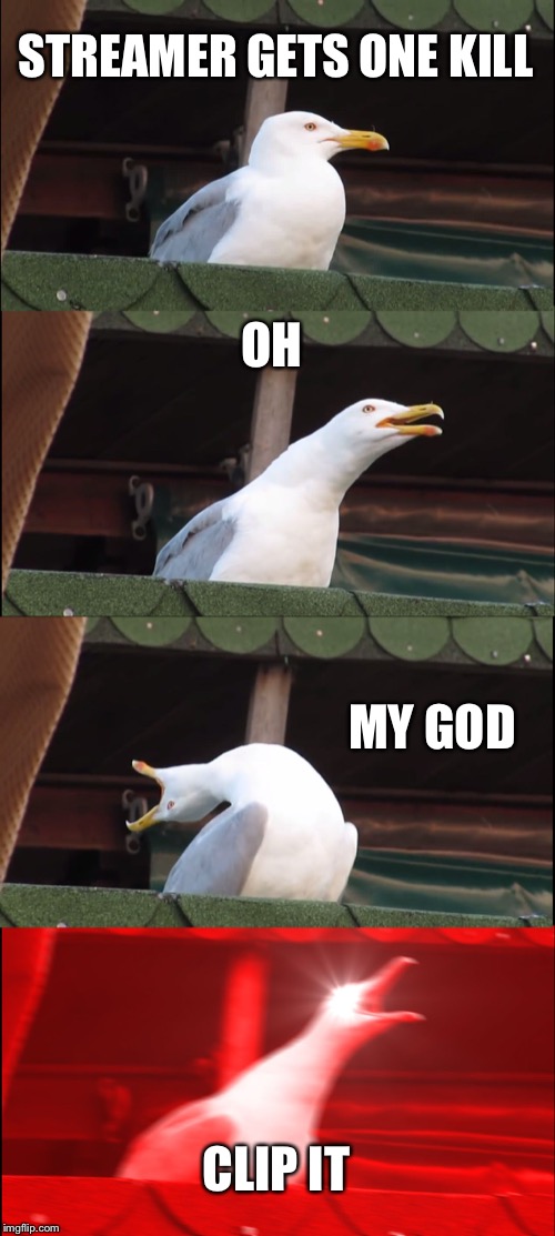 Inhaling Seagull Meme | STREAMER GETS ONE KILL; OH; MY GOD; CLIP IT | image tagged in memes,inhaling seagull | made w/ Imgflip meme maker