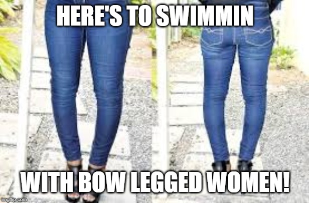HERE'S TO SWIMMIN WITH BOW LEGGED WOMEN! | made w/ Imgflip meme maker