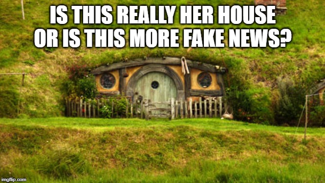 hobbit hole | IS THIS REALLY HER HOUSE OR IS THIS MORE FAKE NEWS? | image tagged in hobbit hole | made w/ Imgflip meme maker