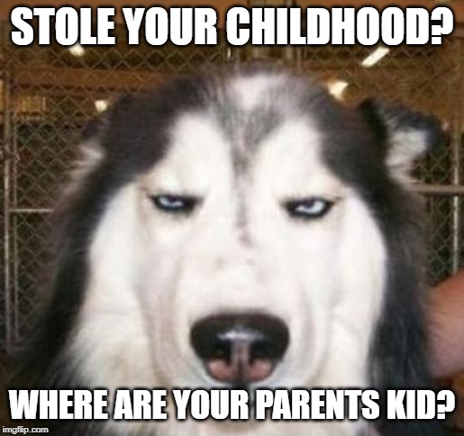 No kidding Dog | STOLE YOUR CHILDHOOD? WHERE ARE YOUR PARENTS KID? | image tagged in no kidding dog | made w/ Imgflip meme maker
