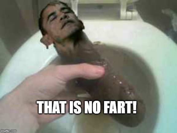 Obama Turd | THAT IS NO FART! | image tagged in obama turd | made w/ Imgflip meme maker