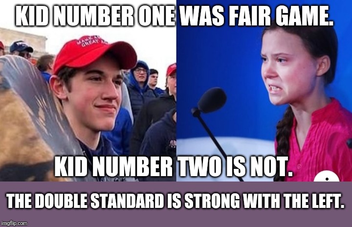 If it weren't for double standards, the left would have no standard. | KID NUMBER ONE WAS FAIR GAME. KID NUMBER TWO IS NOT. THE DOUBLE STANDARD IS STRONG WITH THE LEFT. | image tagged in greta thunberg,liberal logic,double standards,crying democrats,democratic party,leftist | made w/ Imgflip meme maker