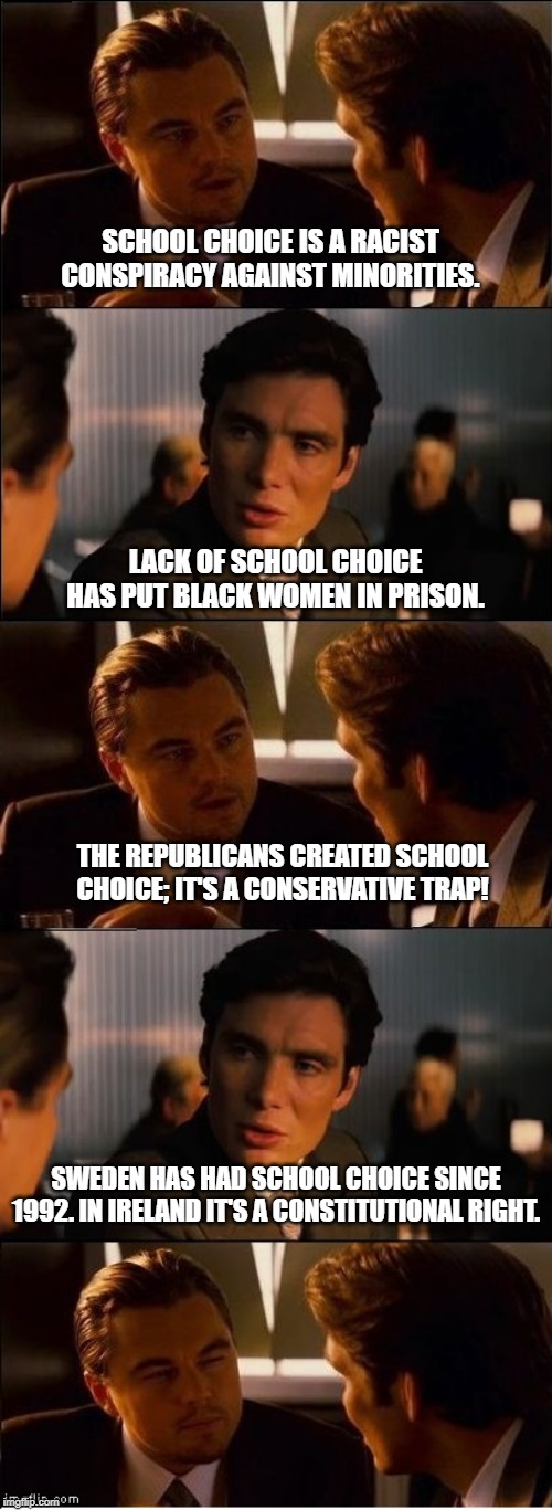 Inception - double | SCHOOL CHOICE IS A RACIST CONSPIRACY AGAINST MINORITIES. LACK OF SCHOOL CHOICE HAS PUT BLACK WOMEN IN PRISON. THE REPUBLICANS CREATED SCHOOL CHOICE; IT'S A CONSERVATIVE TRAP! SWEDEN HAS HAD SCHOOL CHOICE SINCE 1992. IN IRELAND IT'S A CONSTITUTIONAL RIGHT. | image tagged in inception - double | made w/ Imgflip meme maker