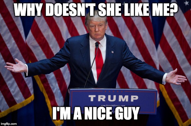 Donald Trump | WHY DOESN'T SHE LIKE ME? I'M A NICE GUY | image tagged in donald trump | made w/ Imgflip meme maker