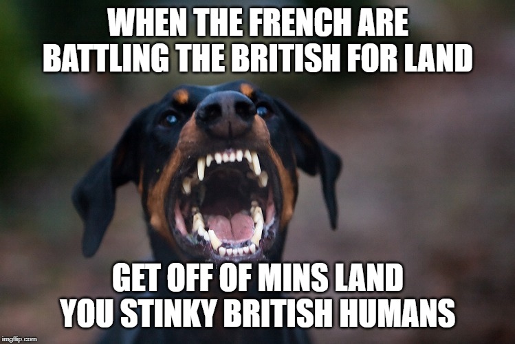 angry doberman |  WHEN THE FRENCH ARE BATTLING THE BRITISH FOR LAND; GET OFF OF MINS LAND YOU STINKY BRITISH HUMANS | image tagged in angry doberman | made w/ Imgflip meme maker