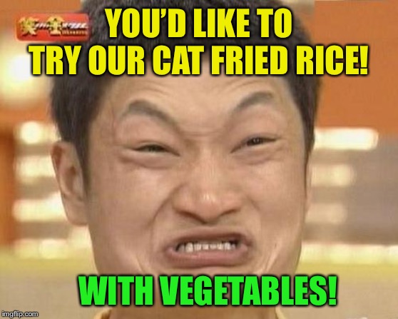 Impossibru Guy Original Meme | YOU’D LIKE TO TRY OUR CAT FRIED RICE! WITH VEGETABLES! | image tagged in memes,impossibru guy original | made w/ Imgflip meme maker