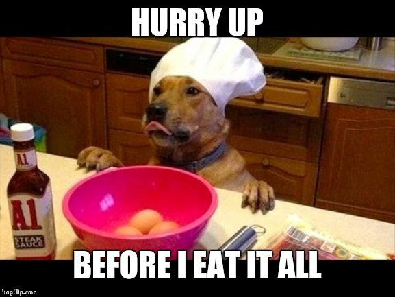 HUNGRY DOGE | HURRY UP; BEFORE I EAT IT ALL | image tagged in dogs,doge | made w/ Imgflip meme maker