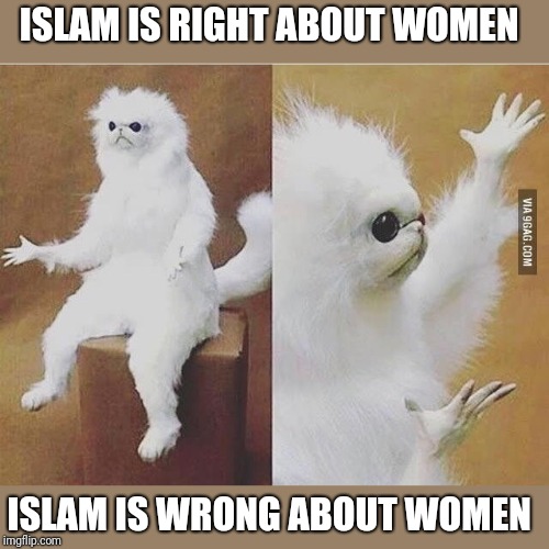 Confused white monkey | ISLAM IS RIGHT ABOUT WOMEN; ISLAM IS WRONG ABOUT WOMEN | image tagged in confused white monkey | made w/ Imgflip meme maker