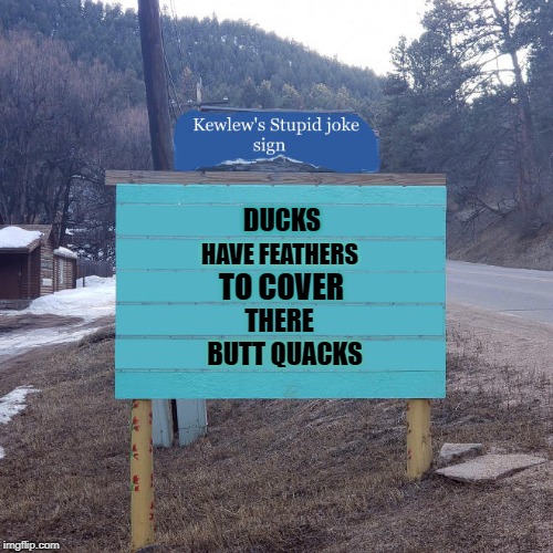 quacking me up | DUCKS; HAVE FEATHERS; TO COVER; THERE; BUTT QUACKS | image tagged in jokes,dad joke,silly | made w/ Imgflip meme maker