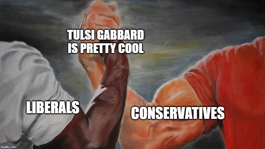 epic hand shake | TULSI GABBARD IS PRETTY COOL; CONSERVATIVES; LIBERALS | image tagged in epic hand shake | made w/ Imgflip meme maker