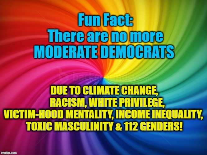 GONE--Your Daddy's Democrat Party | DUE TO CLIMATE CHANGE,     RACISM, WHITE PRIVILEGE, 
VICTIM-HOOD MENTALITY, INCOME INEQUALITY, 
 TOXIC MASCULINITY & 112 GENDERS! Fun Fact:
There are no more MODERATE DEMOCRATS | image tagged in politics,political meme,political,politics lol,political humor | made w/ Imgflip meme maker