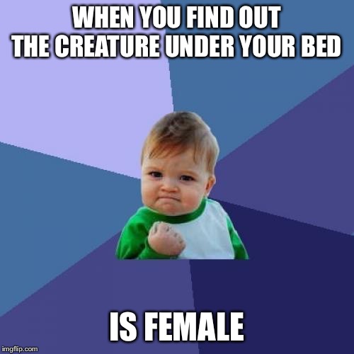 Success Kid Meme | WHEN YOU FIND OUT THE CREATURE UNDER YOUR BED; IS FEMALE | image tagged in memes,success kid | made w/ Imgflip meme maker