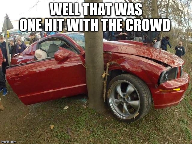 that was one hit with the  crowd | WELL THAT WAS ONE HIT WITH THE CROWD | image tagged in hit with the crowd | made w/ Imgflip meme maker